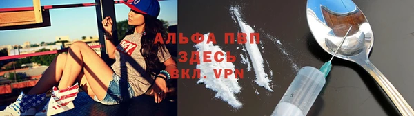 твердый Алексеевка
