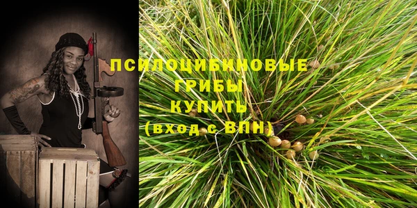 твердый Алексеевка