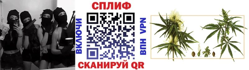 mega зеркало  наркота  Оленегорск  Конопля White Widow 